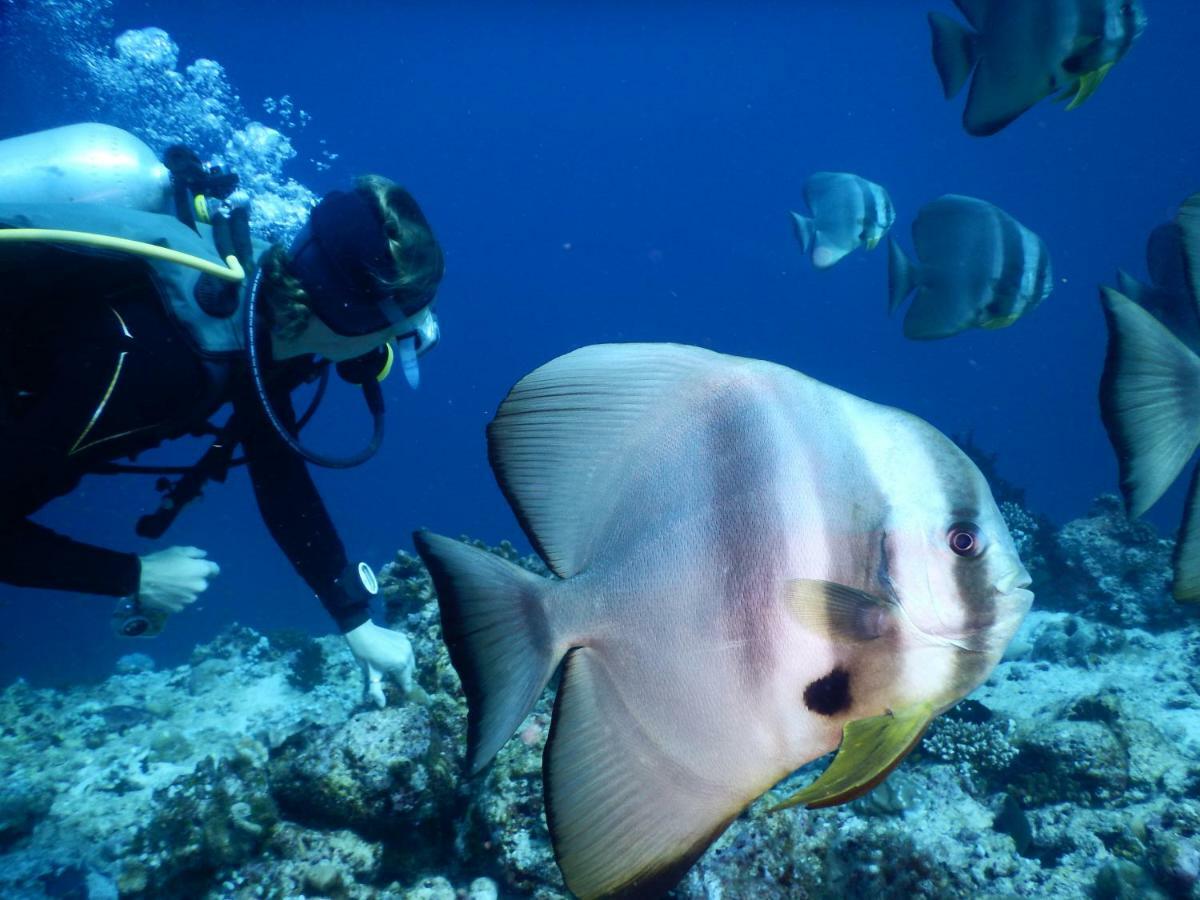 Ithaa Dhigurah Maldives Dhigurah (Alif Dhaal Atoll) Bagian luar foto