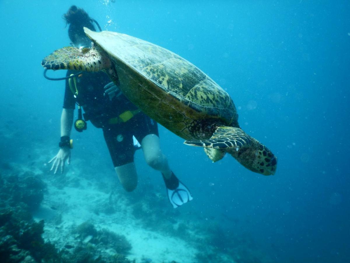 Ithaa Dhigurah Maldives Dhigurah (Alif Dhaal Atoll) Bagian luar foto
